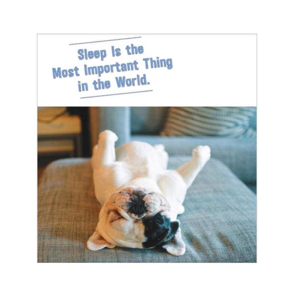 🆕 Manny the Frenchie’s Art of Happiness Book - Picture 5 of 9